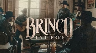 foto BRINCO LA LIEBRE